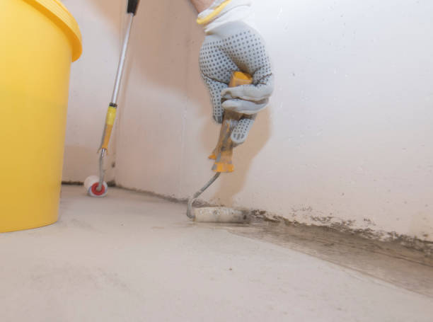 Best Termite Inspection and Treatment  in Greenfields, PA